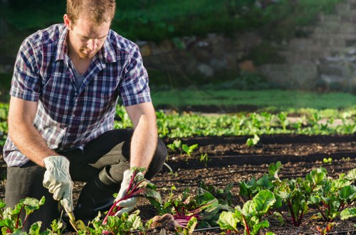 Gardener giving a written quote at a property