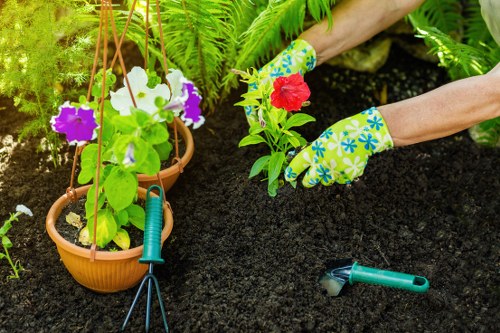 Gardener beginning inspection of a residential garden