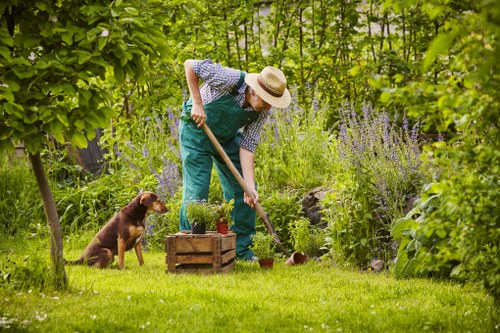 Eco-friendly decking materials and sustainable design