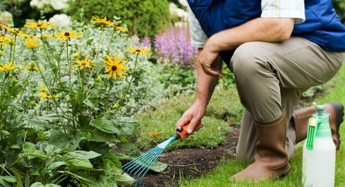 A gardener kneeling on a well-maintained lawn in a backyard garden, wearing tan rubber boots and a blue vest over a short-sleeved shirt, is actively watering and tending to vibrant yellow and purple flowering plants along a garden bed. The garden features a lush, dense hedge in the background, with various shrubs and flowering plants creating a colorful, natural border. The lawn area is lush and green, with a mixture of grass textures and soil patches visible near the flower bed. A garden hose with a green nozzle lies nearby, indicating ongoing outdoor maintenance. Soft, natural daylight illuminates the scene, reflecting a calm, outdoor environment suitable for professional gardening services offered by Garden Maintenance Notting Hill, which specializes in lawn care, plant tending, and landscape maintenance in the Notting Hill area of London.