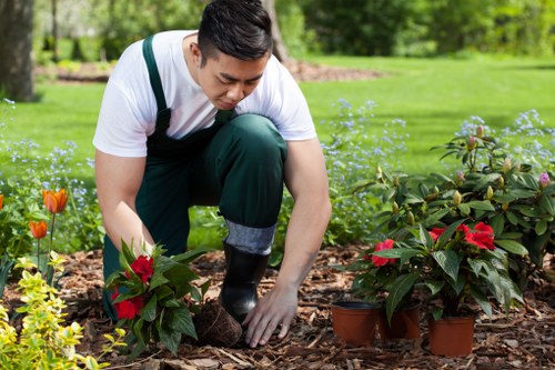 A young man in a white shirt and dark green trousers is kneeling on a mulch bed in a neatly maintained garden, planting potted red flowering plants among a variety of other green shrubs and flowers. The garden features a well-kept grassy lawn in the background, bordered by a low brick wall and mature trees that provide shade and natural scenery. The scene depicts a clear, bright day with natural sunlight illuminating the vibrant colors of the plants and the lush surroundings. The garden appears to be part of a residential outdoor space located in Notting Hill, with a focus on flower bed management and planting activities, aligning with professional gardening and landscape maintenance services offered by companies such as Garden Maintenance Notting Hill. The composition highlights attention to garden detail, plant health, and tidy organization, contributing to an overall atmosphere of well-maintained outdoor aesthetics suitable for enhancing residential or small commercial garden spaces in the area.