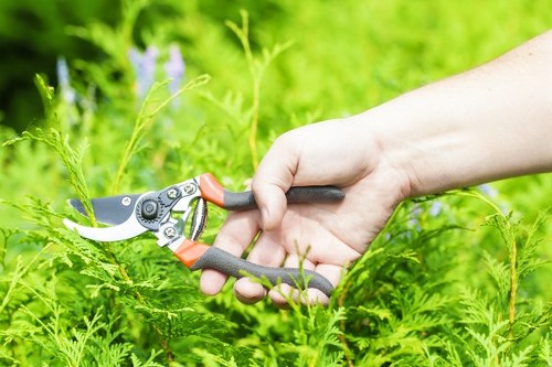 Operative using protective equipment while handling plant