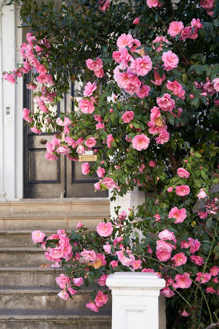 A narrow cobblestone street lined with mostly white and brick terraced houses in a residential area of Notting Hill, featuring small front gardens filled with potted plants, shrubs, and young trees. T